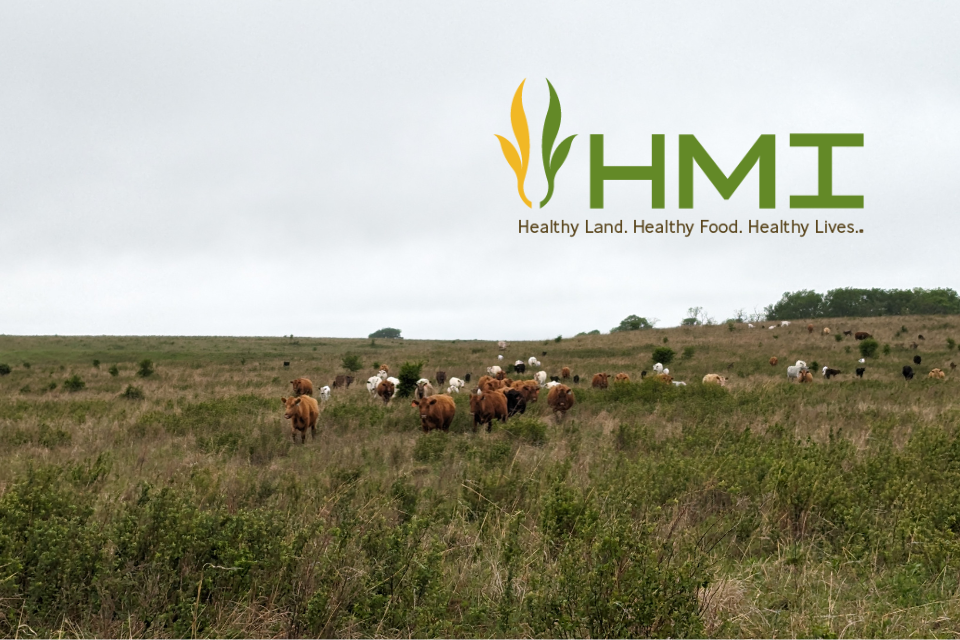 Thriving People, Lands & Livestock: Hands-On Regenerative Grazing & Drought-Proof Profitability