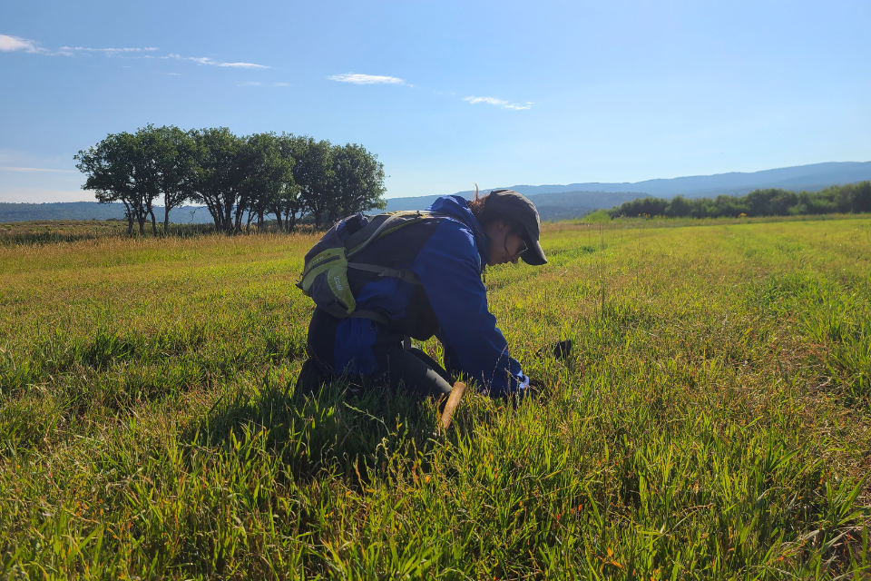 D.I.Y. Toolbox for Evaluating Soil Health