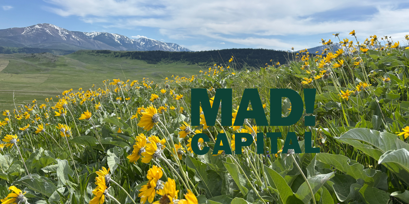 Mad Capital Workshop: Listening to New Mexico’s Organic and Regenerative Producers