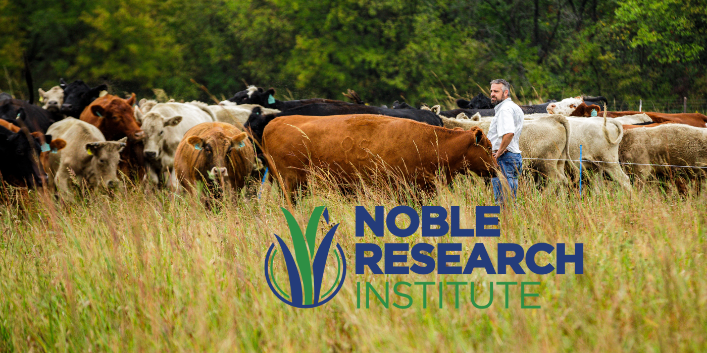 Grazing Land Stewardship for Improved Soil Health and Ranch Profitability
