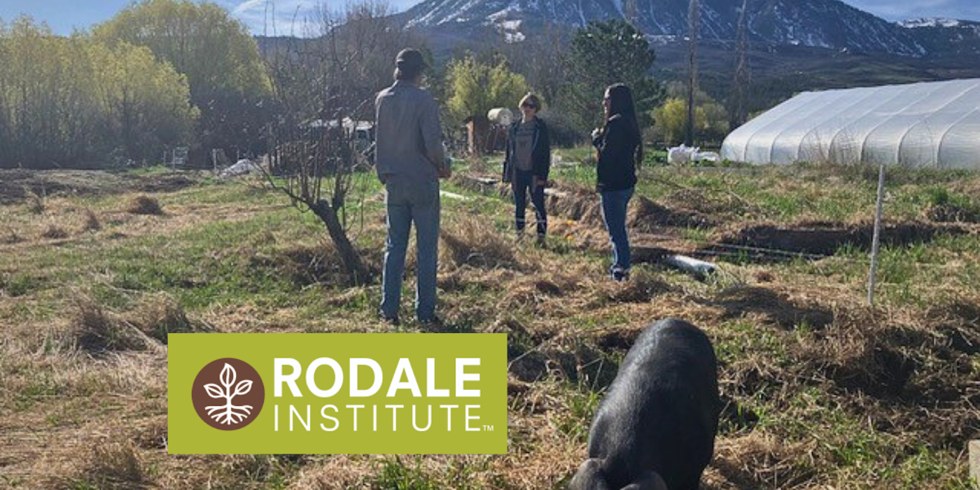 Rodale Institute: Promoting Resilience Through Regenerative Organic Practices