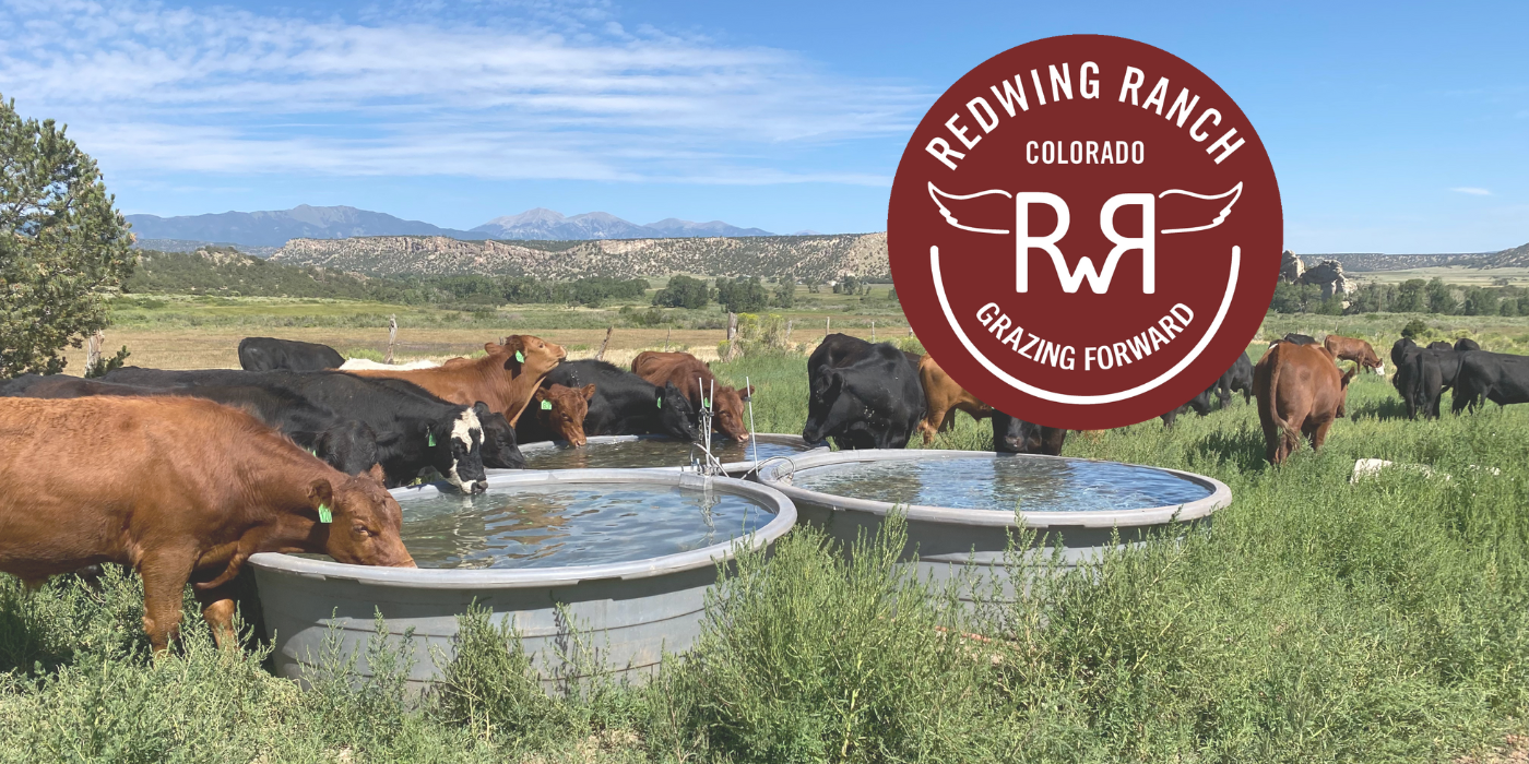 From the Ground Up: Pricing, Communication & Profit in Custom Grazing