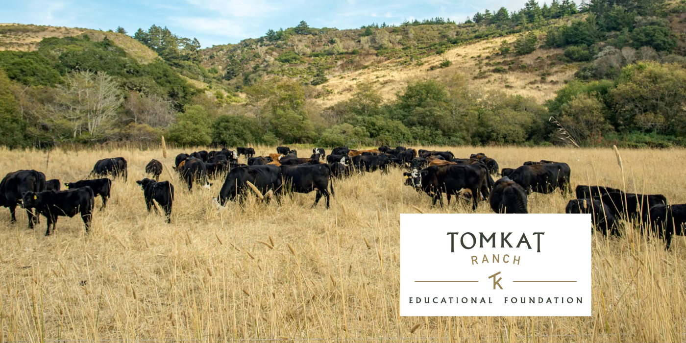 What Role Can Data Play in Regenerative Ranching?