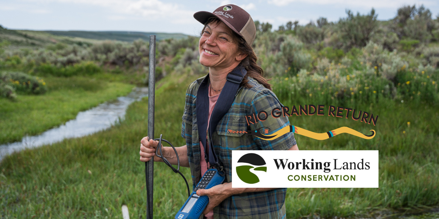 Riparian Restoration for Rangeland: Combining low-tech processes based restoration (PBR) and grazing management for synergistic outcomes
