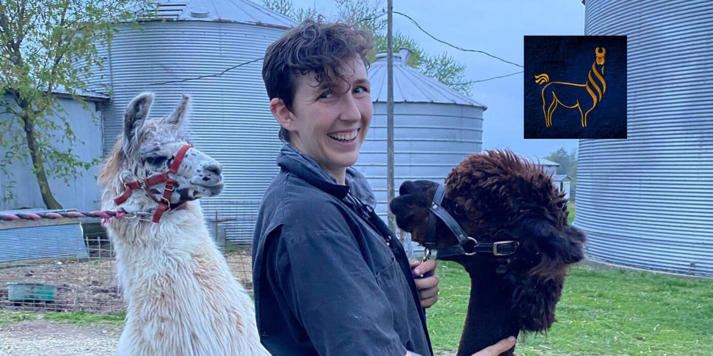Principles of Shearing with Right Choice