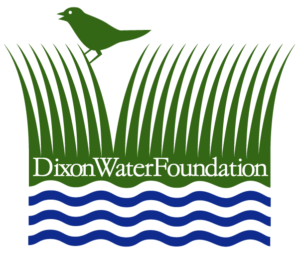 Dixon Water Foundation-logo-600px