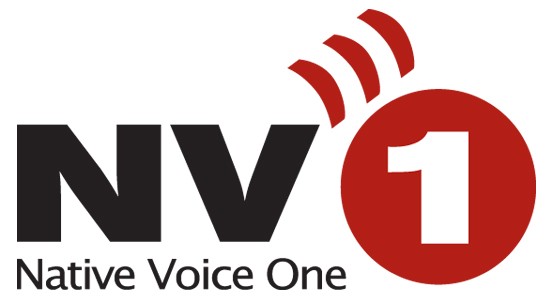 NV1_logo